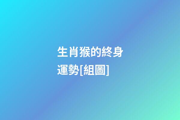 生肖猴的終身運勢[組圖]